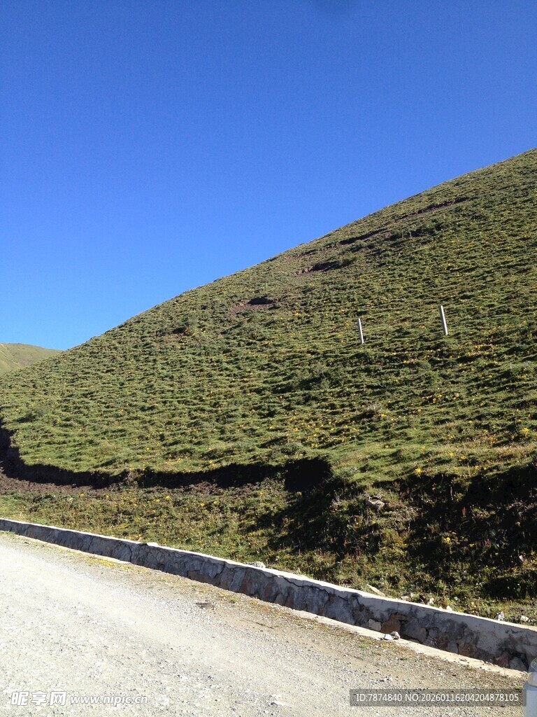 公路旁绿意盎然的山坡