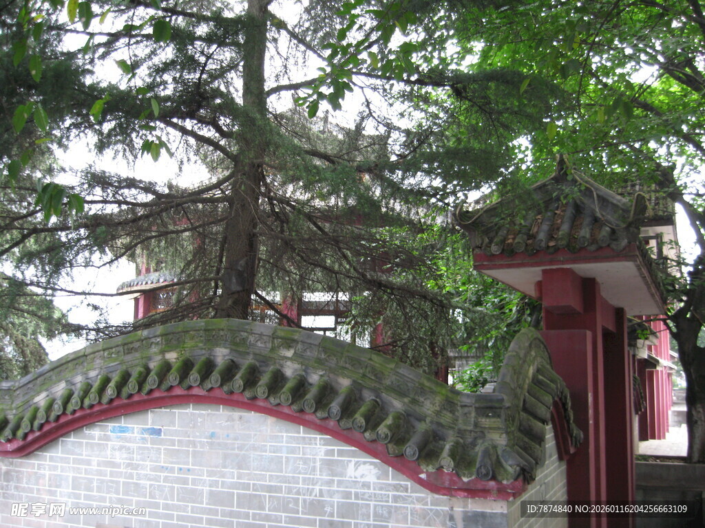 中式园林围墙一角