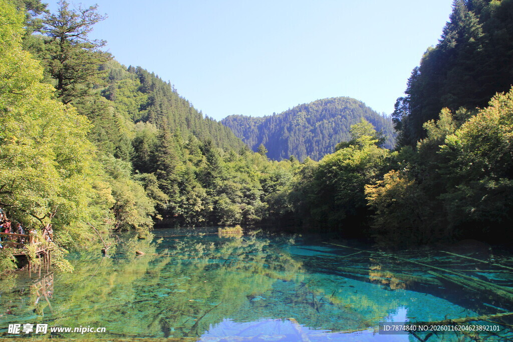 青山绿水间的澄澈溪流