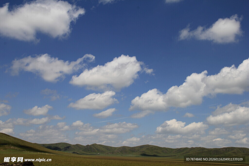 蓝天白云下的广袤原野