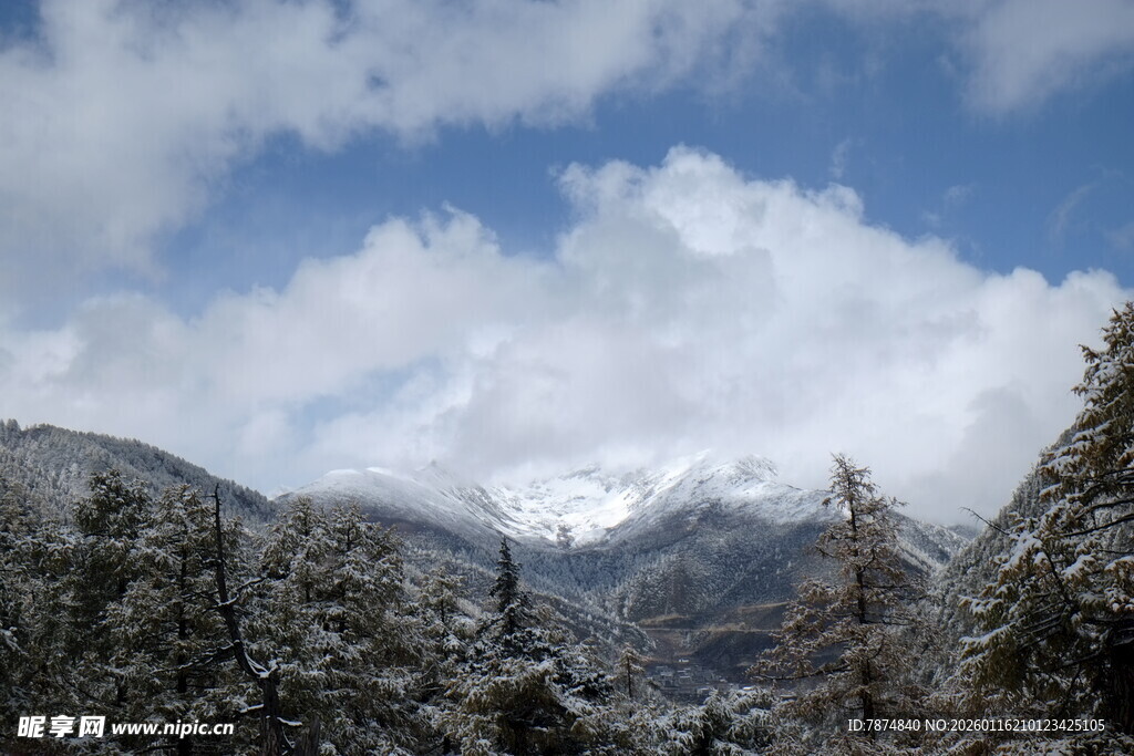 雪山森林畔的壮丽云海