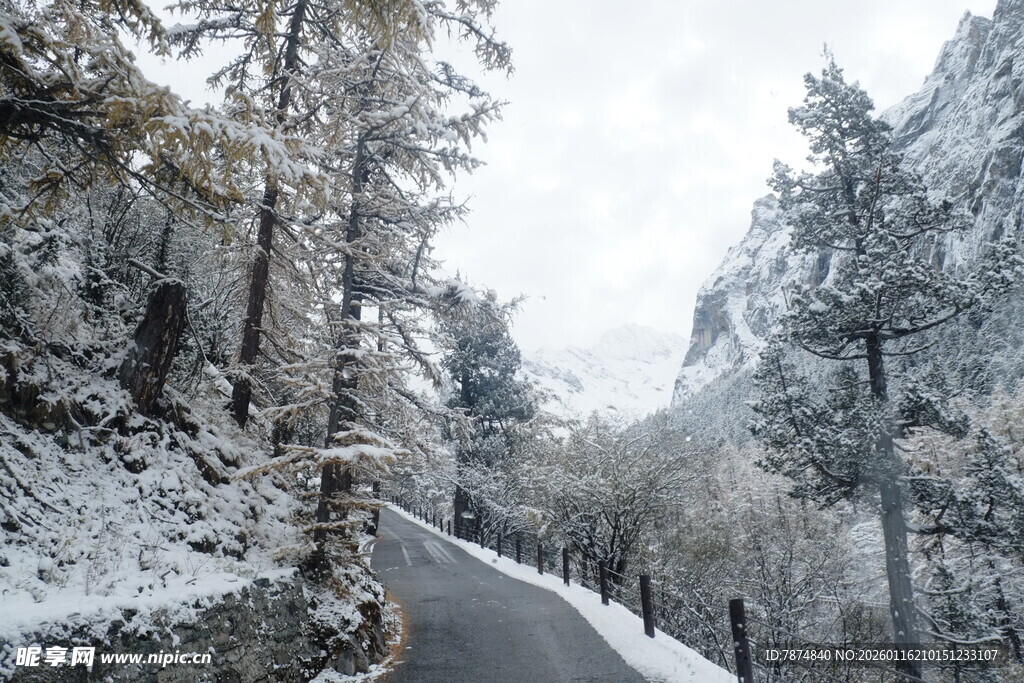 冬日雪景中的蜿蜒山路