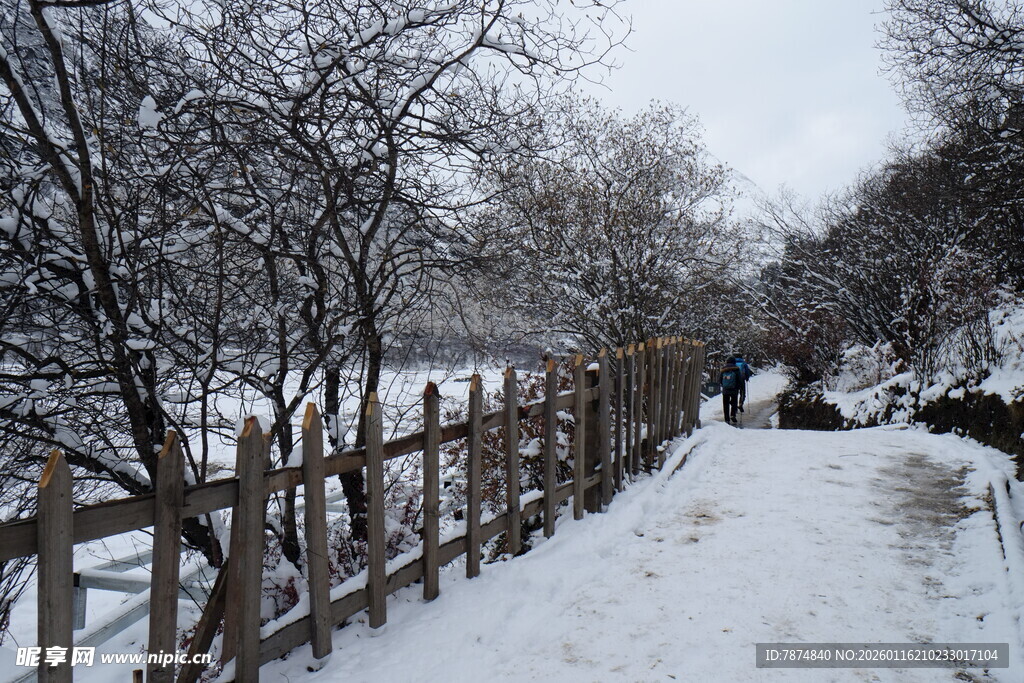 雪后林间木栏小道景象