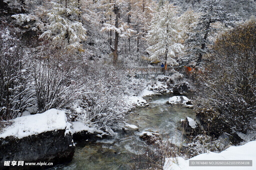 雪覆山林间的潺潺溪流