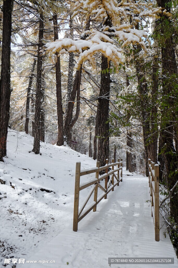 雪覆林间木栈道