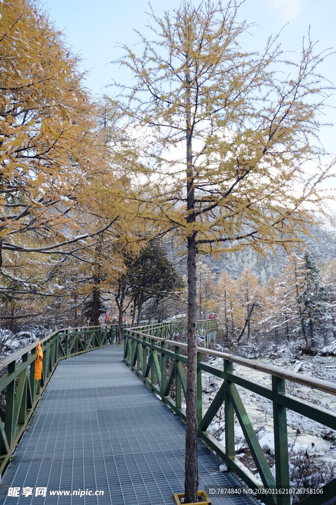 雪后林间木桥秋景