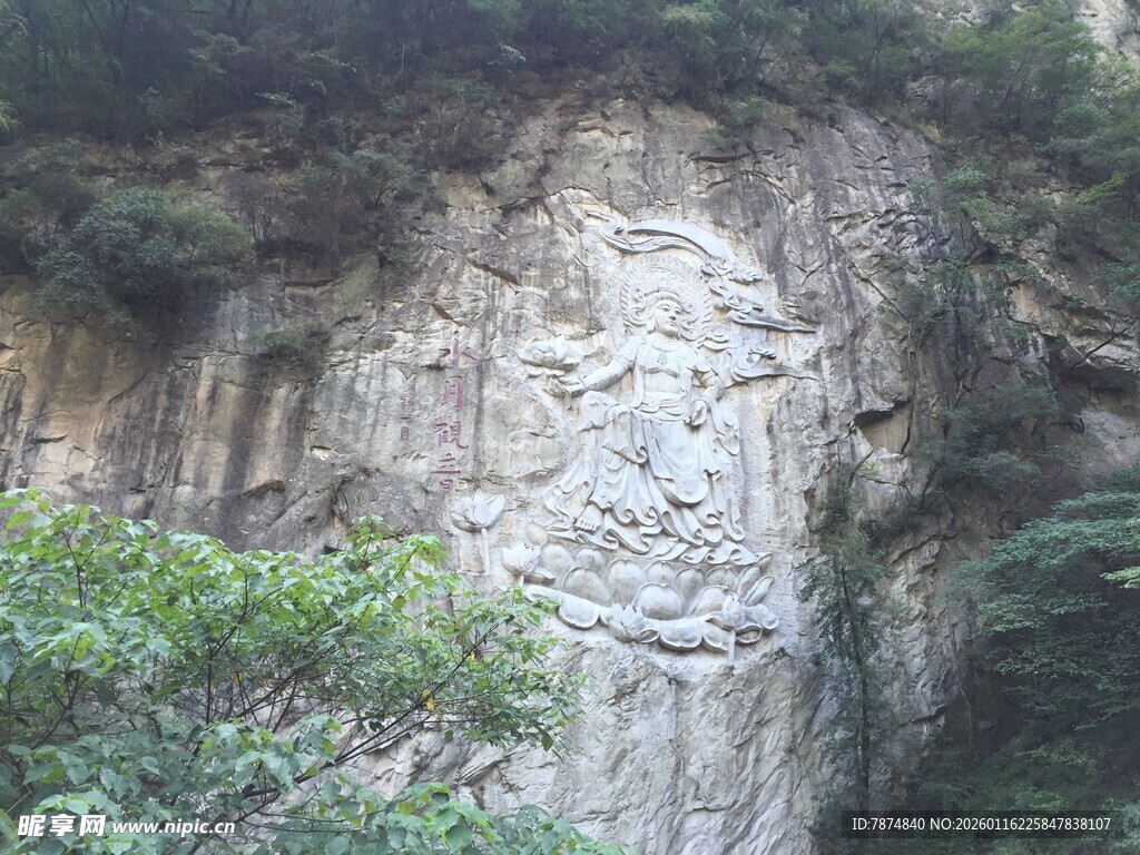 陡峭山崖上的绿植景观