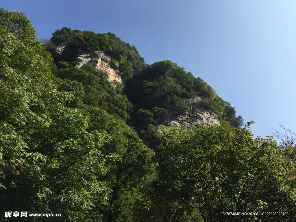 青山绿树间的秀丽山峰