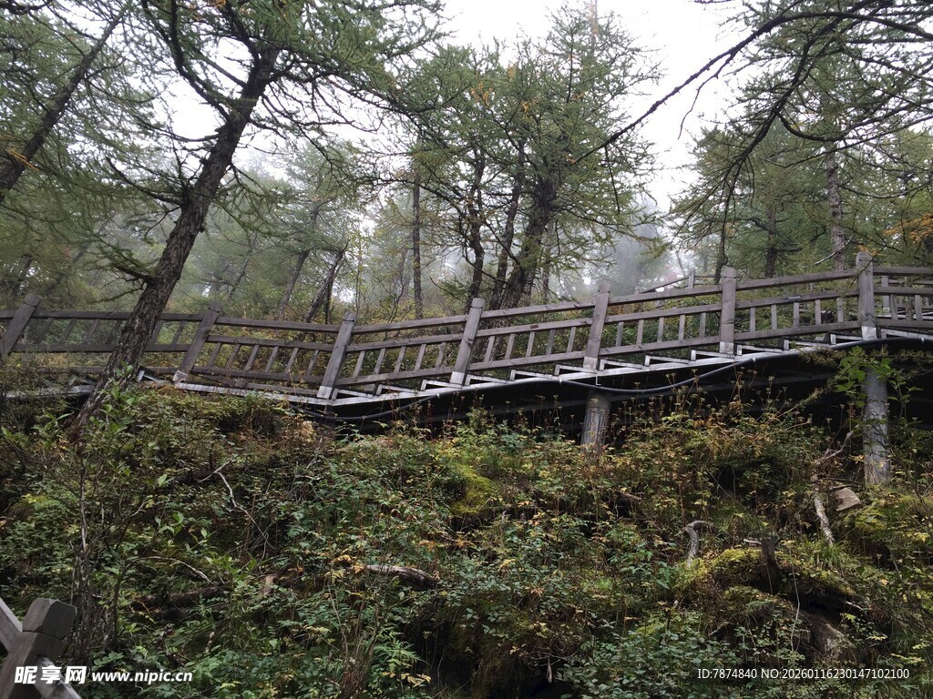 山林间的木质栈道景观