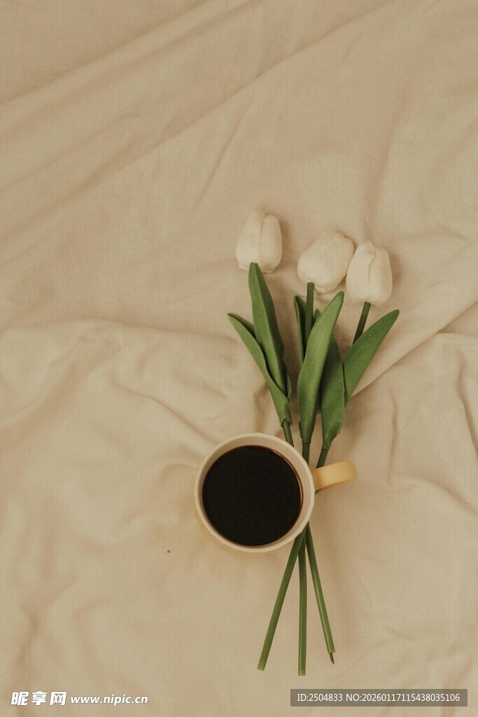 简约花瓶中的素雅白玫瑰