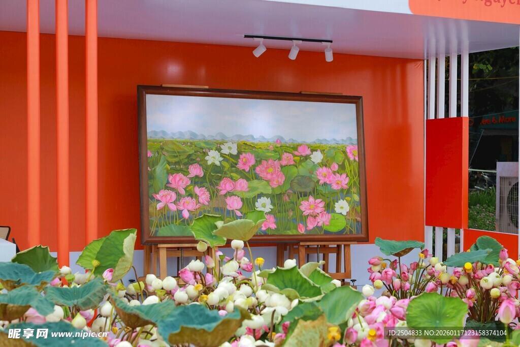 室内荷花景观展示