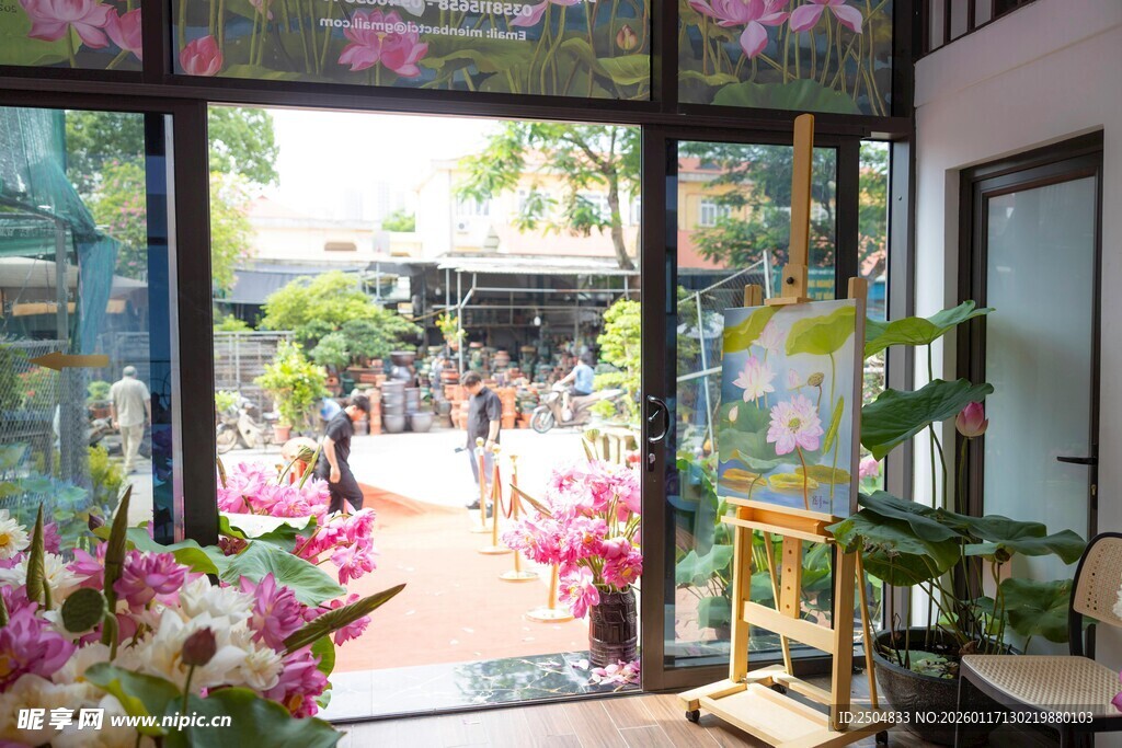 室内外花卉装点的温馨空间