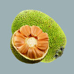 切开的菠萝蜜展示其果肉