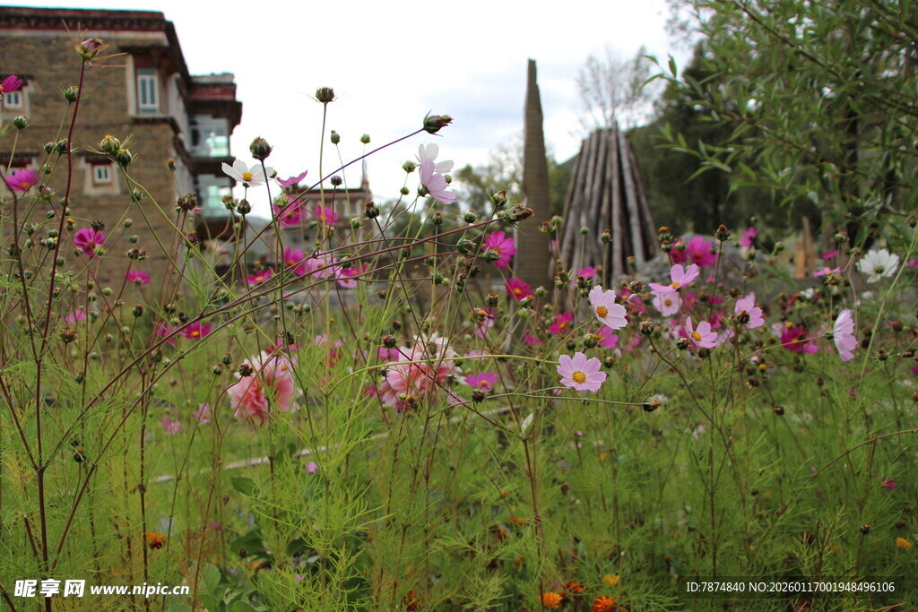 繁花盛开的乡村花园一角