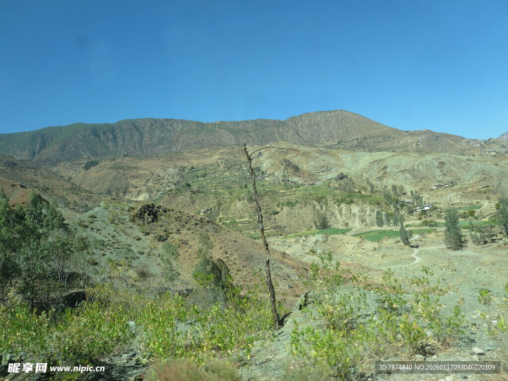 荒漠中的稀疏植被景观