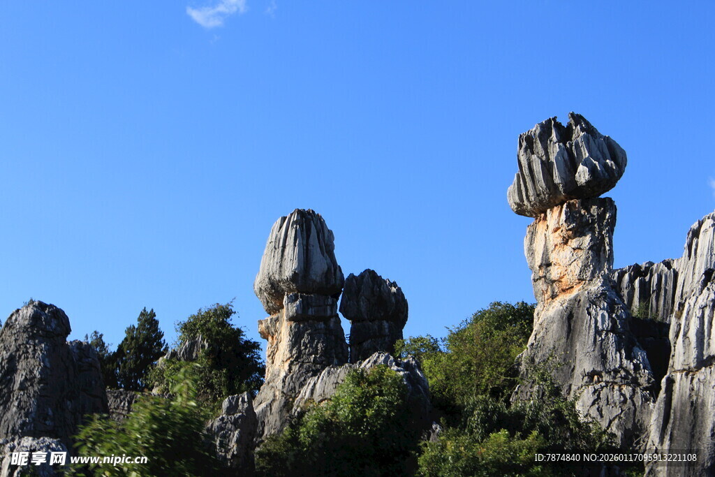 云南石林独特自然景观
