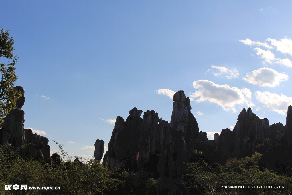 奇特石林景观 蓝天白云相伴