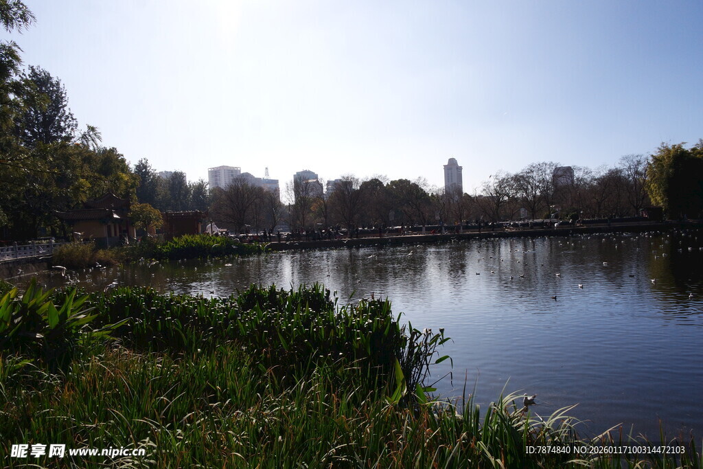 湖畔城市风光 静谧美好