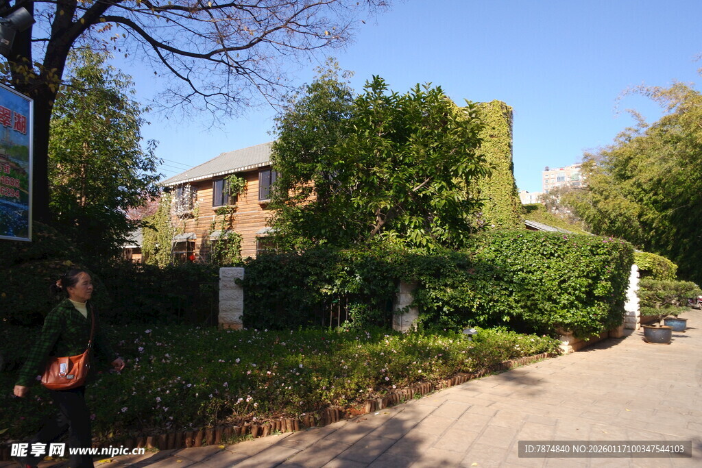 静谧庭院中的绿植环绕建筑