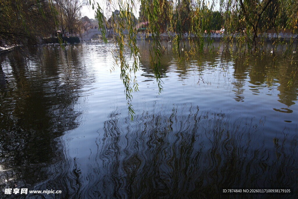 宁静湖畔倒影如画