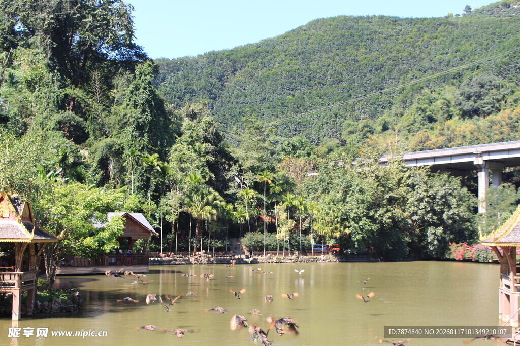 河畔乡村风光 宁静水乡景