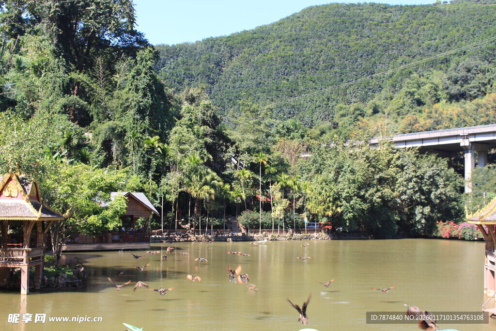 河畔自然景观 休闲好去处