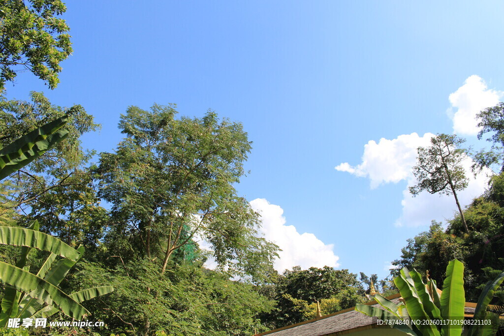蓝天绿树间的自然景致