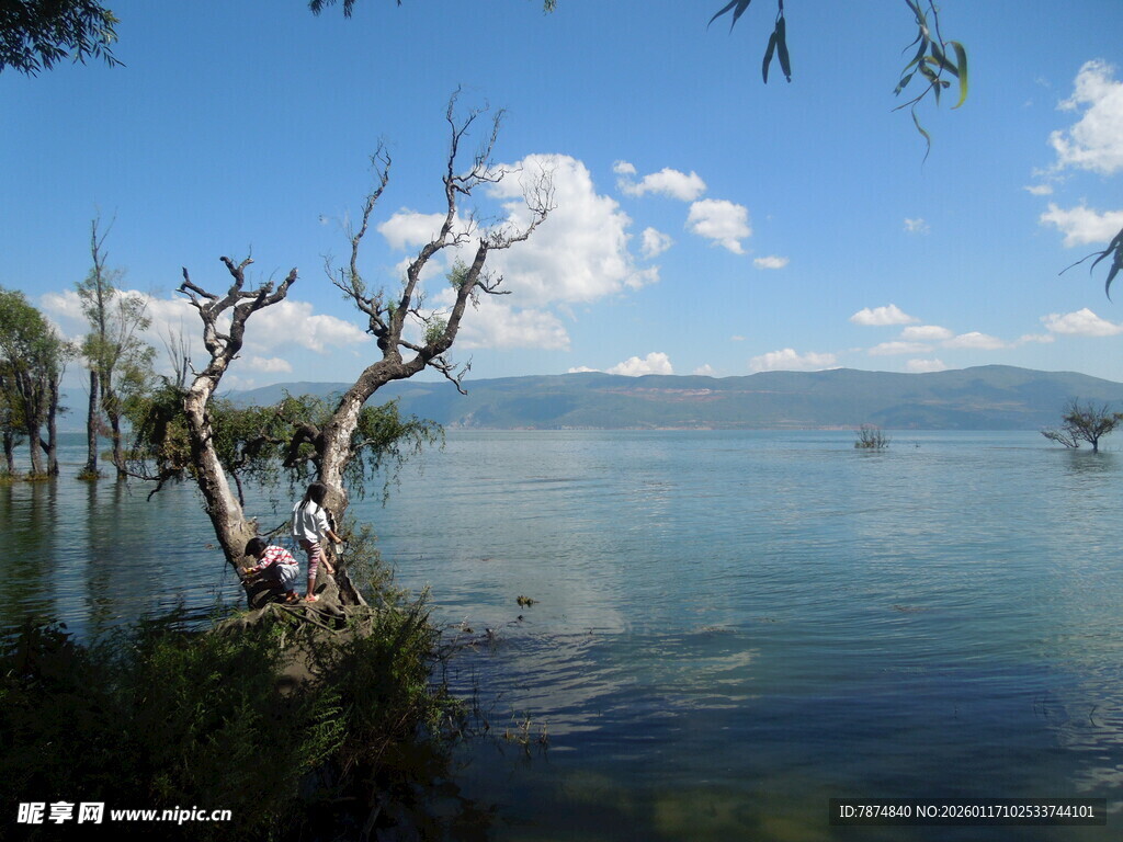湖畔风光 宁静自然之景