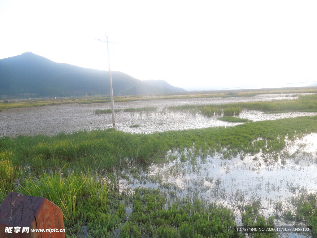 湿地风光 水草与远山相映