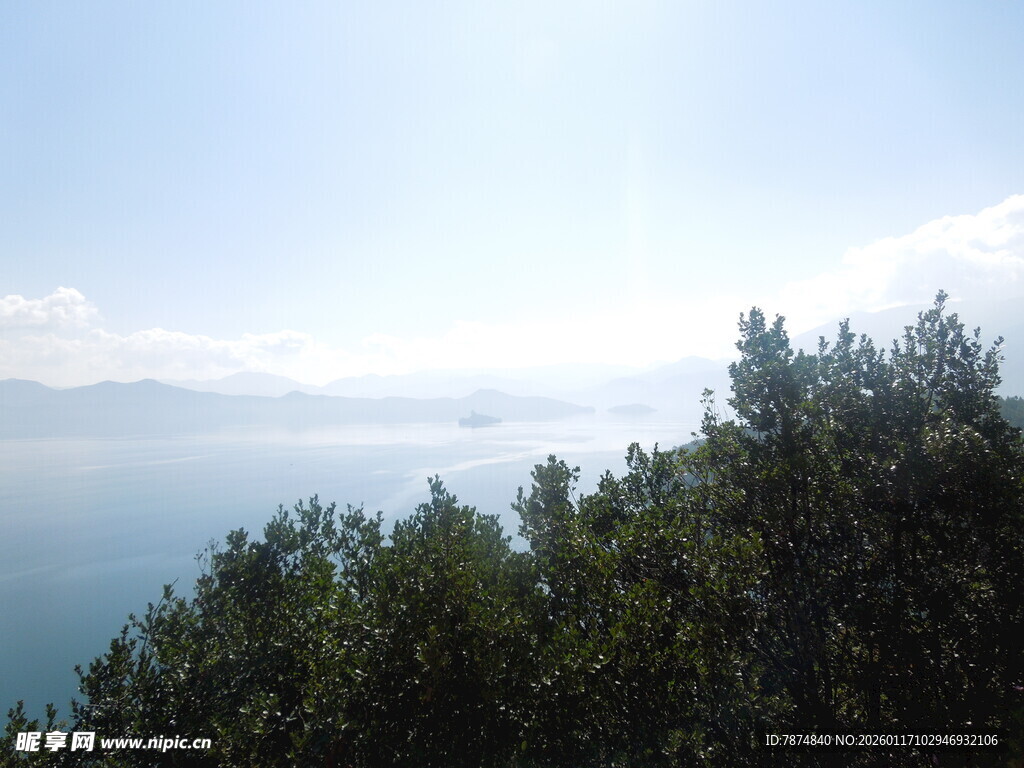 林间眺望广阔蓝色海面