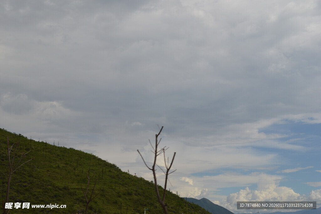 山巅枯树与多云天空