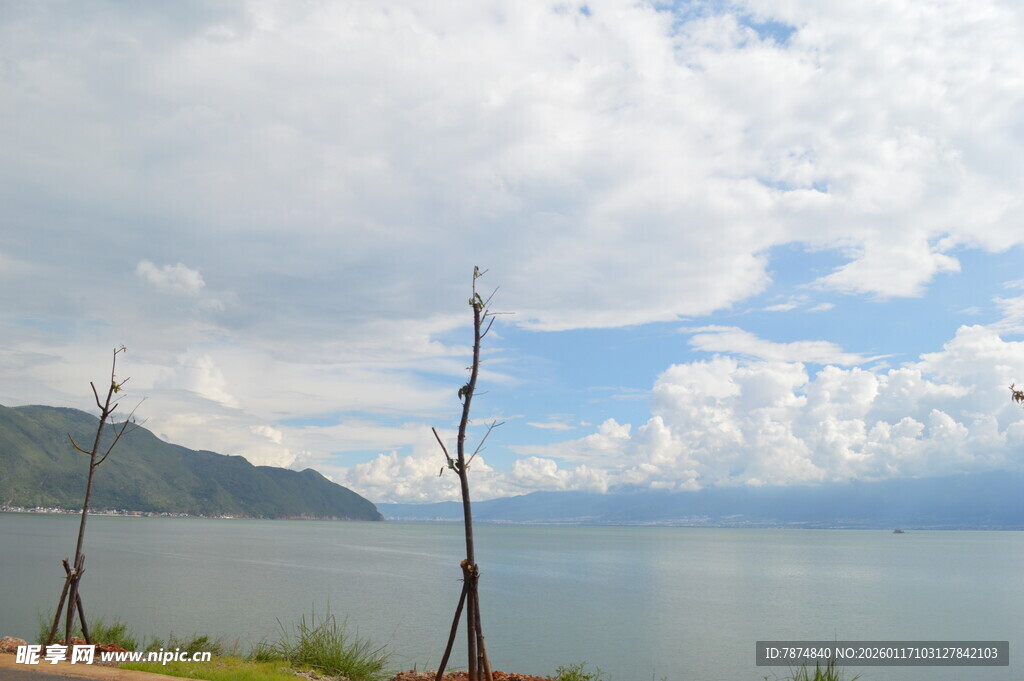 湖畔风光 宁静自然美景