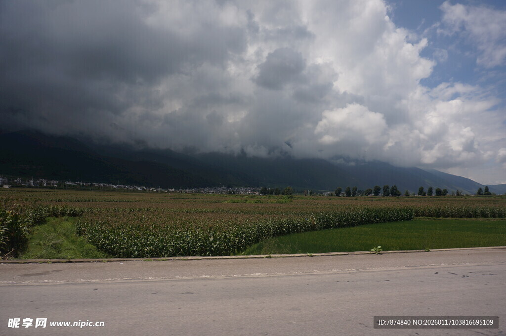 田野边的多云天空景色