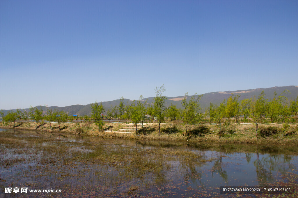 河畔绿意盎然的自然景致