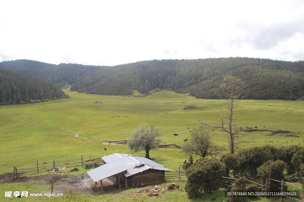 乡村绿野中的小屋