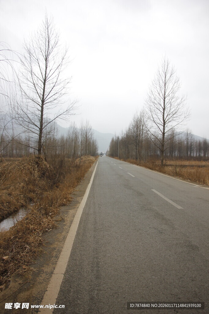 空旷道路 冬日萧瑟景象