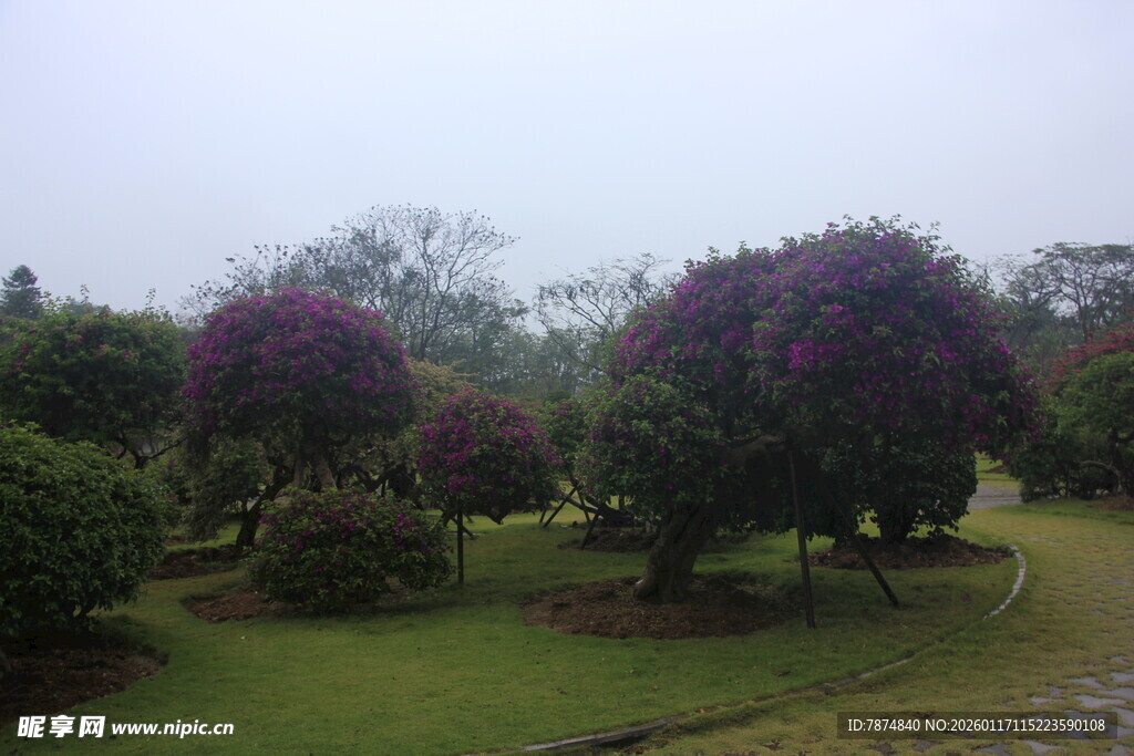 雨中绚烂的花园景观