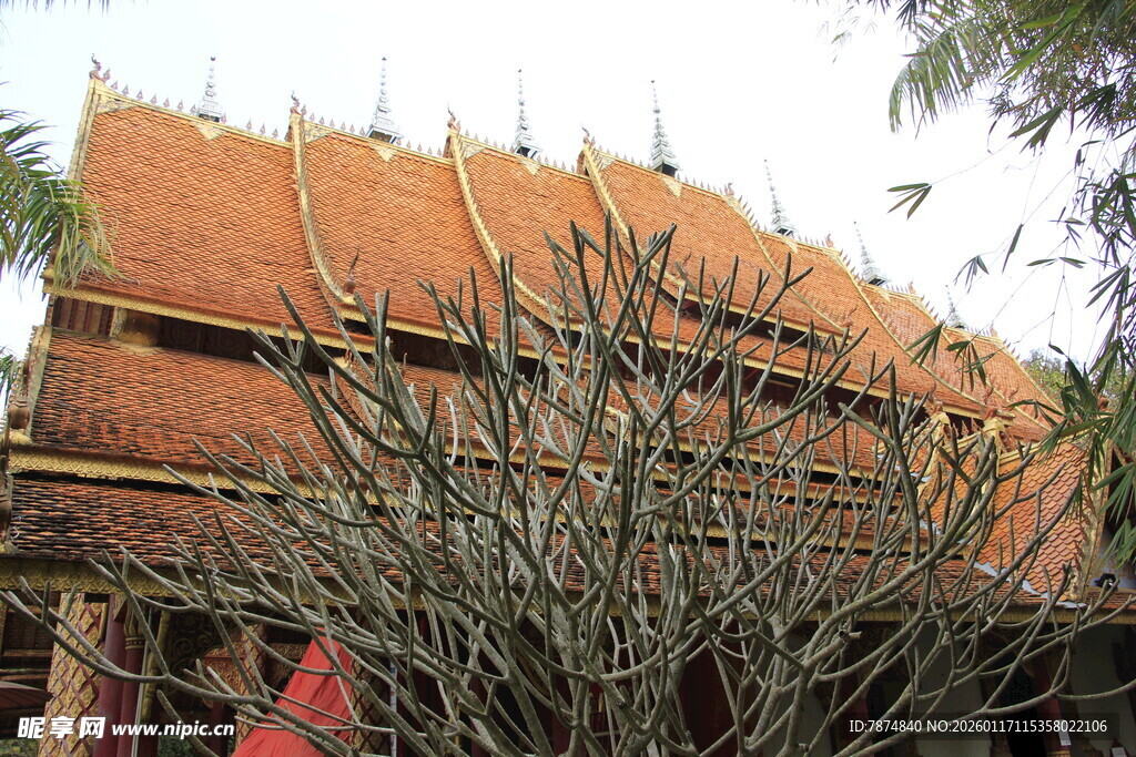 传统建筑前的绿植景观