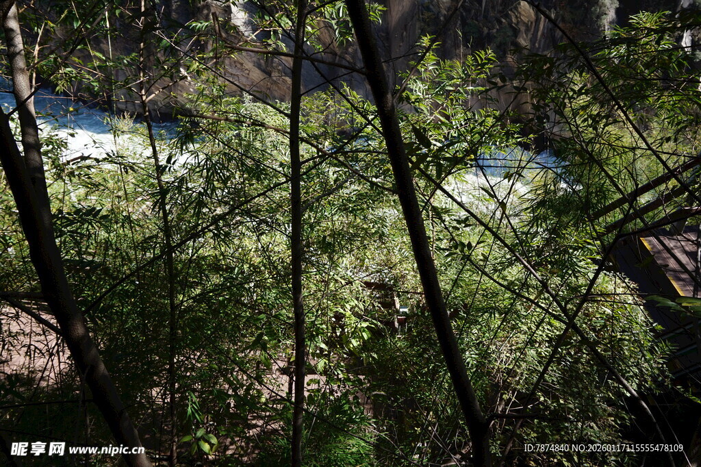 林间景致 远处现开阔水域