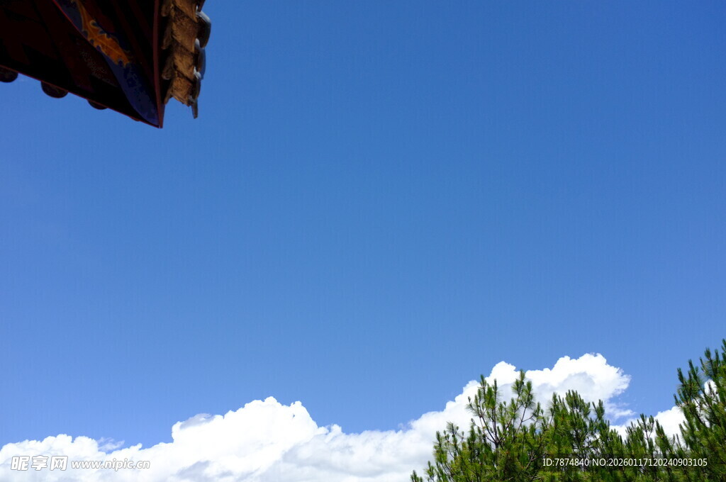 蓝天绿树间的屋顶一角