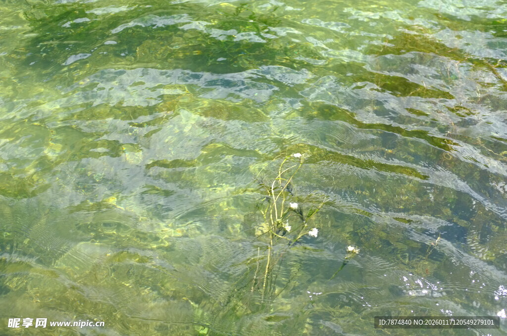 清澈水底的绿色波纹景象