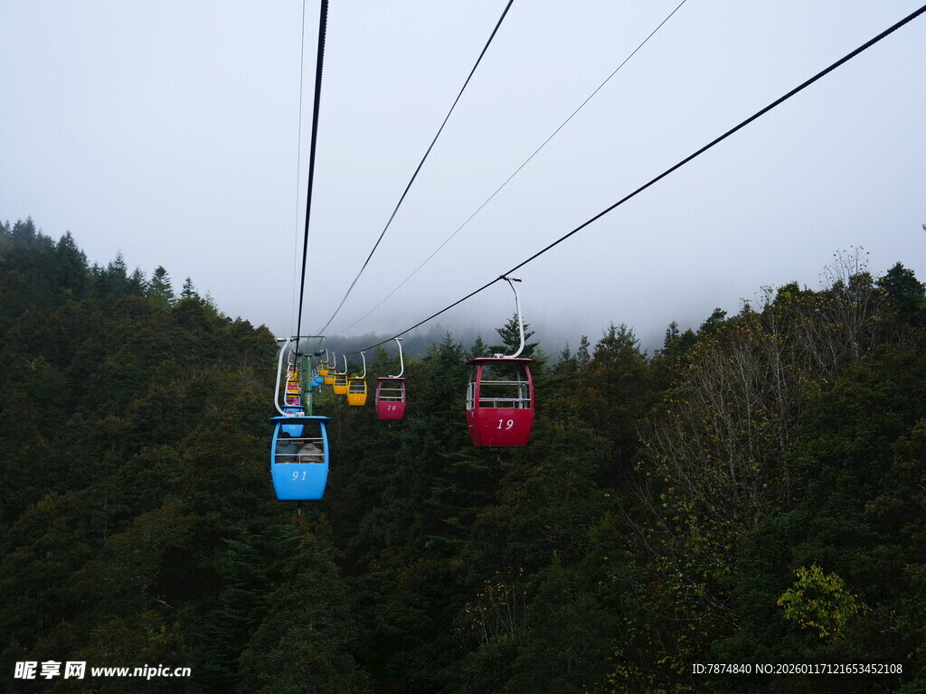 山间缆车穿梭于云雾森林