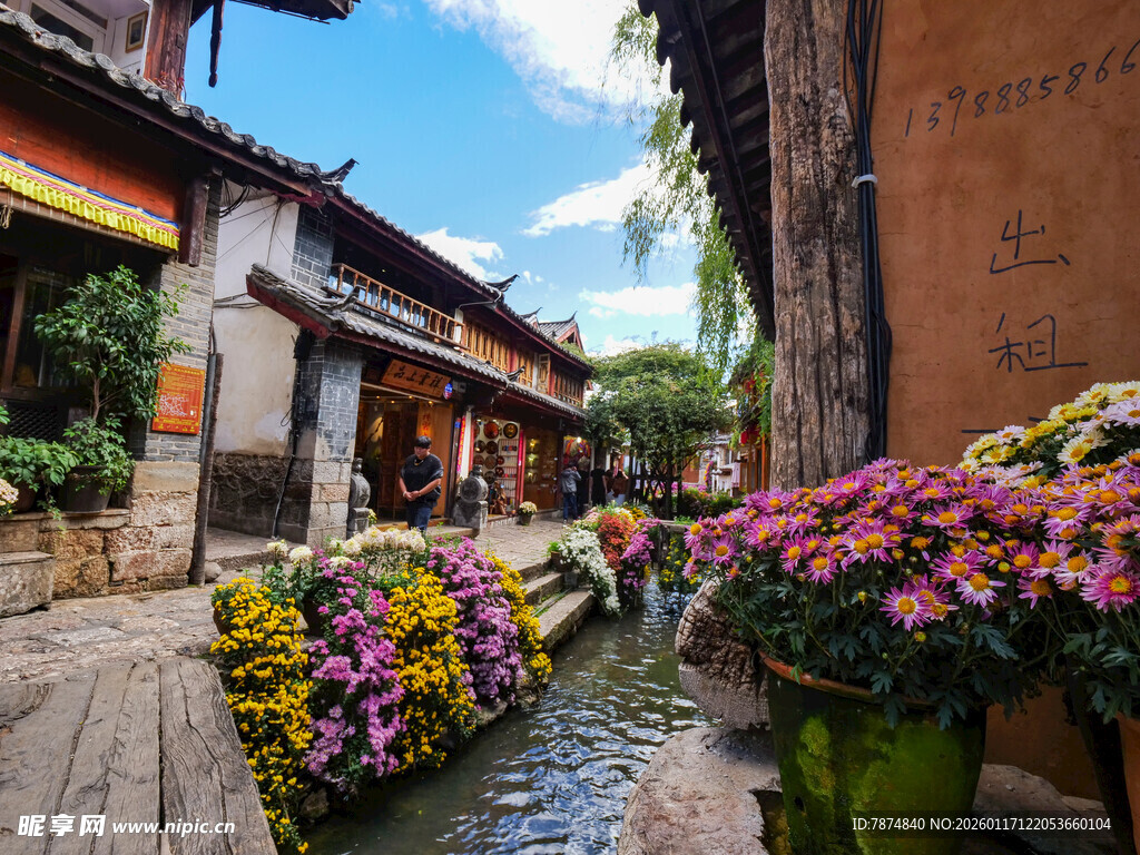 古巷溪边繁花盛开的景致