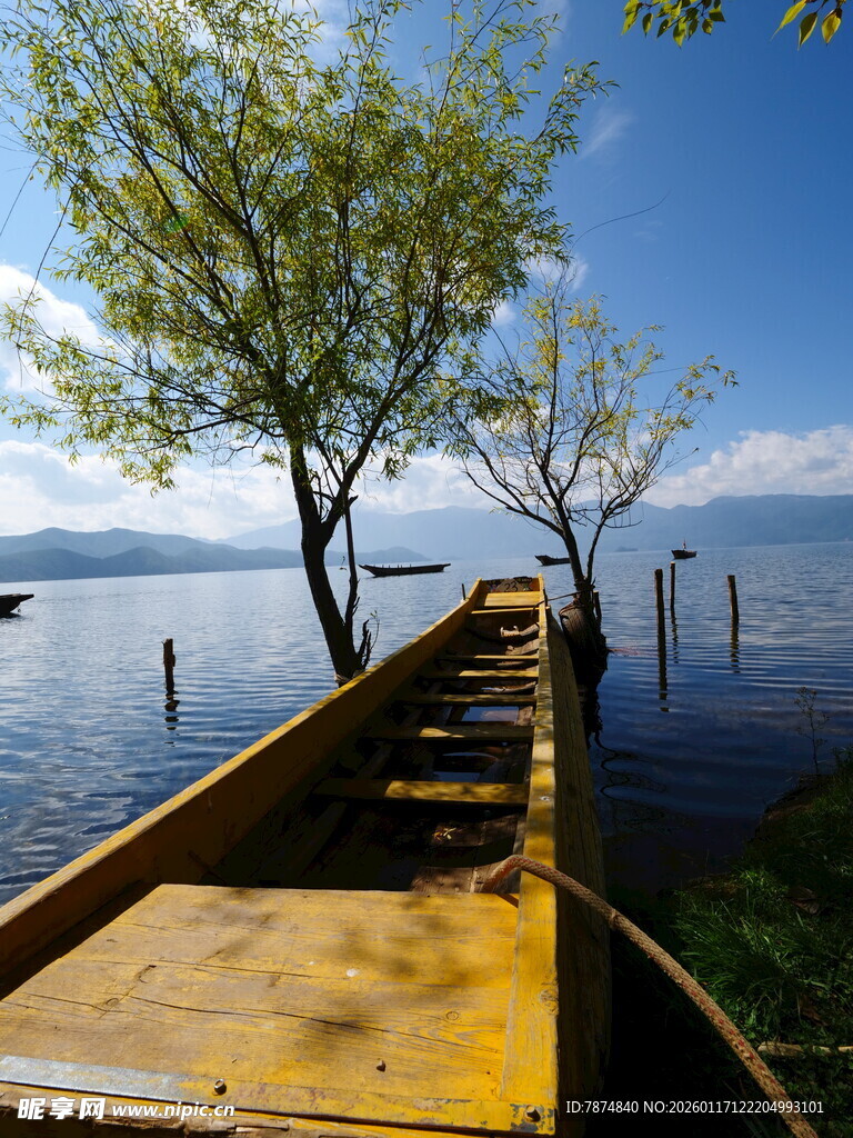 湖畔木舟与树的静谧景致
