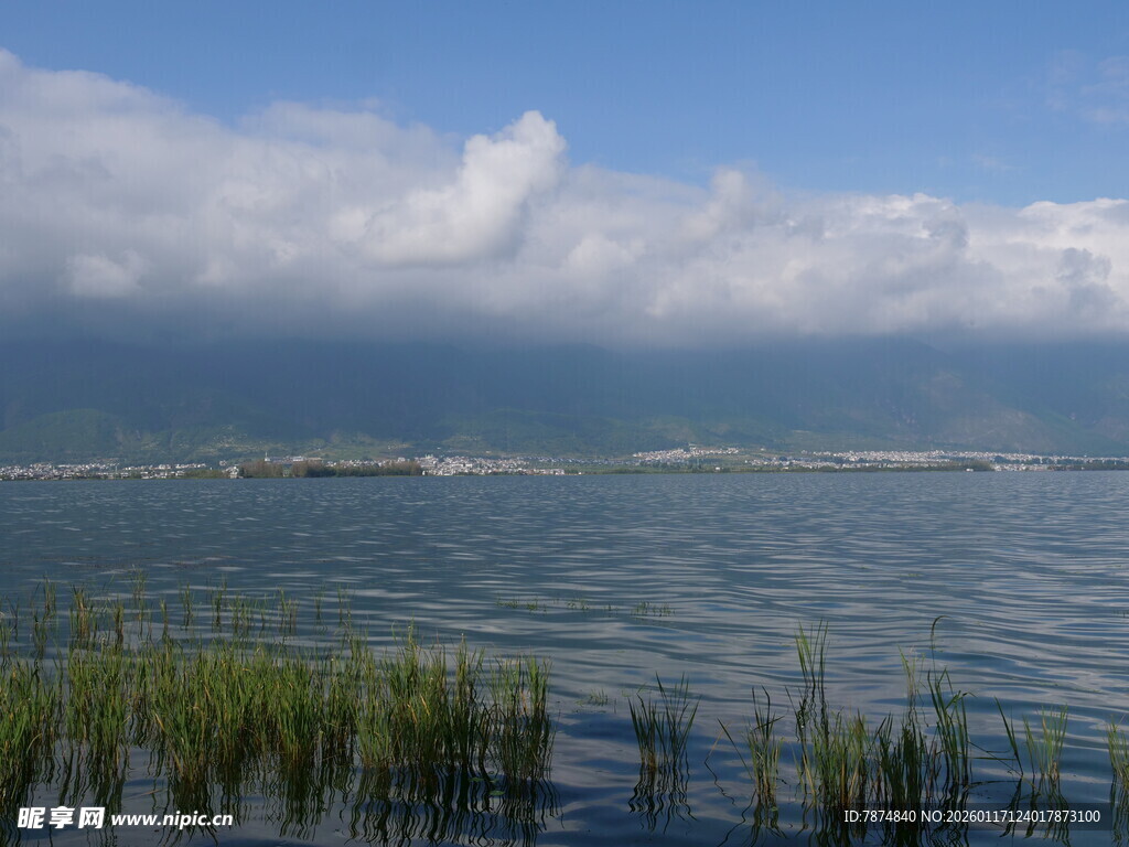湖畔风光 水草与蓝天相映
