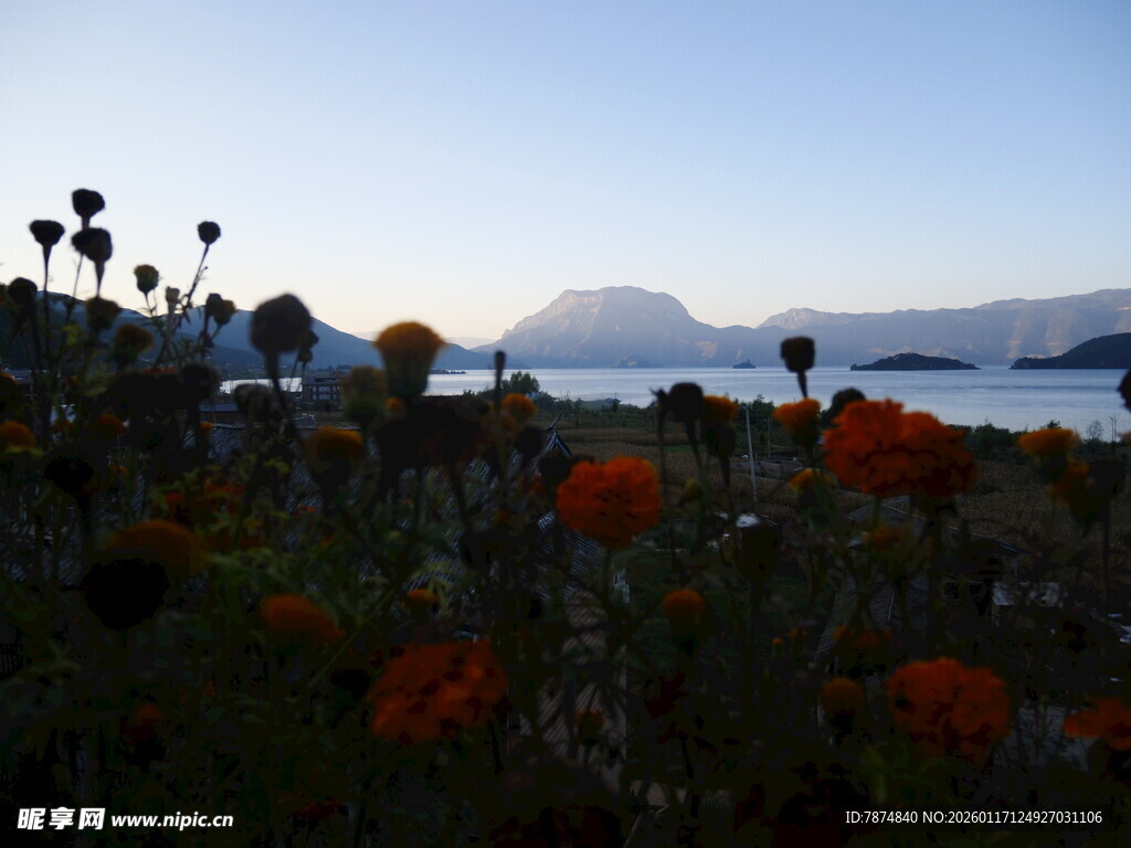 花海畔的湖光山色美景
