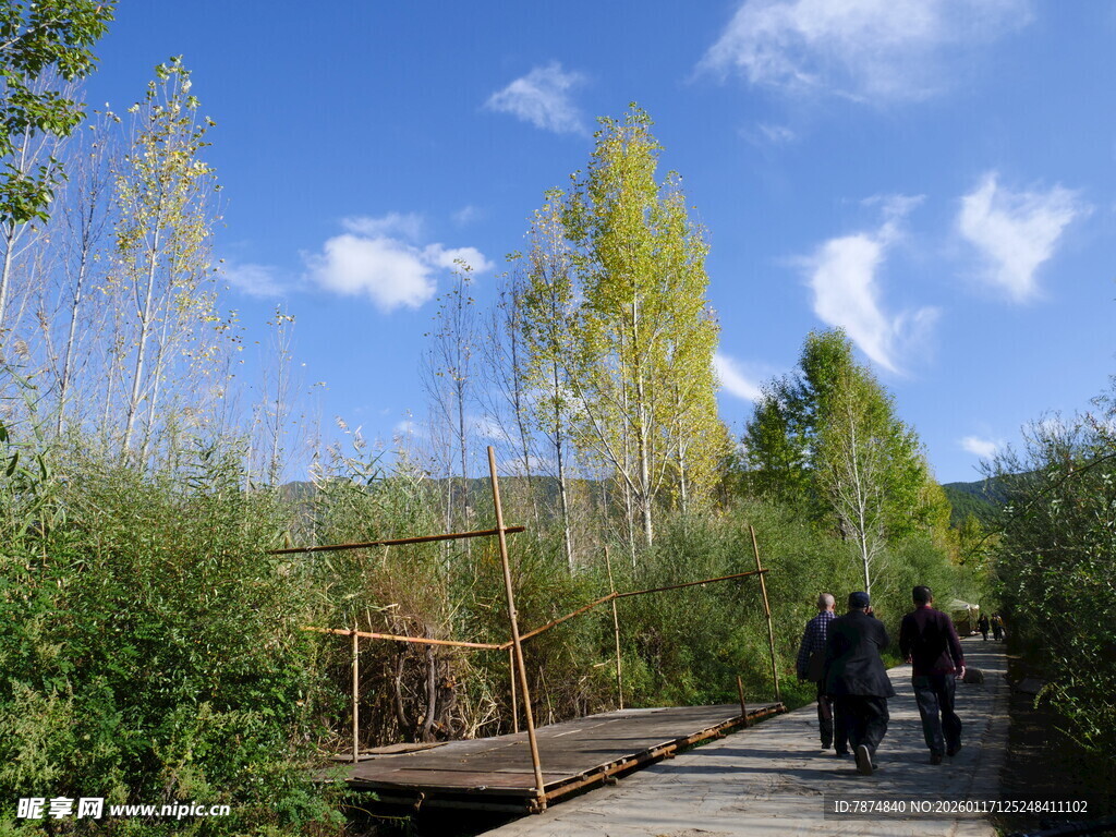 漫步林间木栈道
