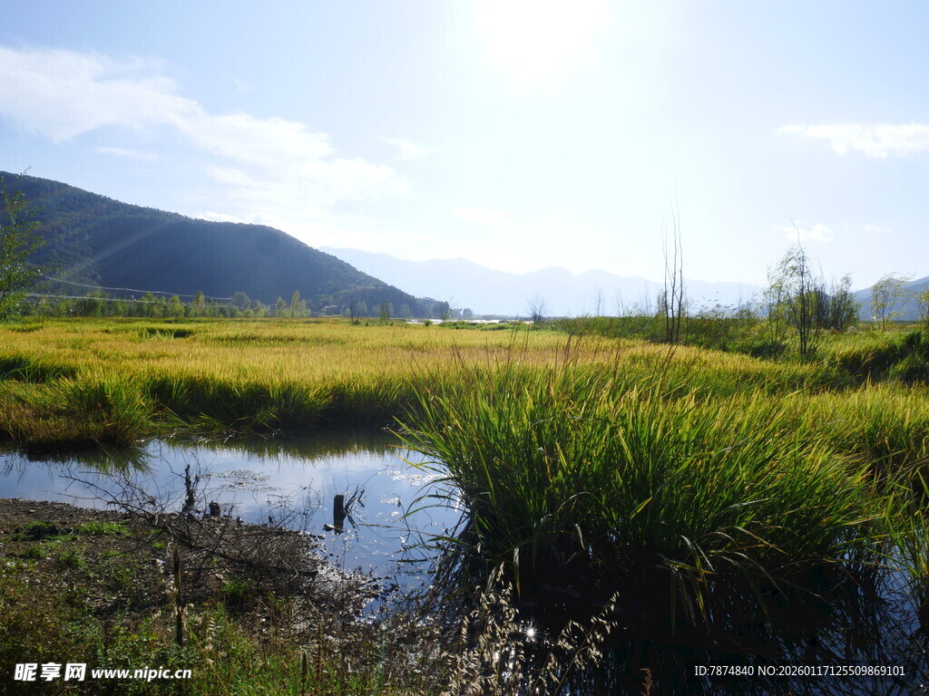 田园湿地风光美景