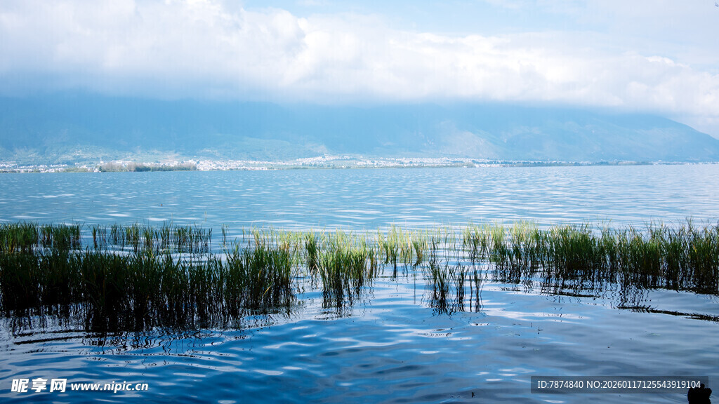宁静湖畔的自然美景