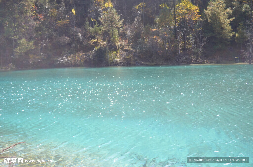 清澈蓝湖与岸边树林美景
